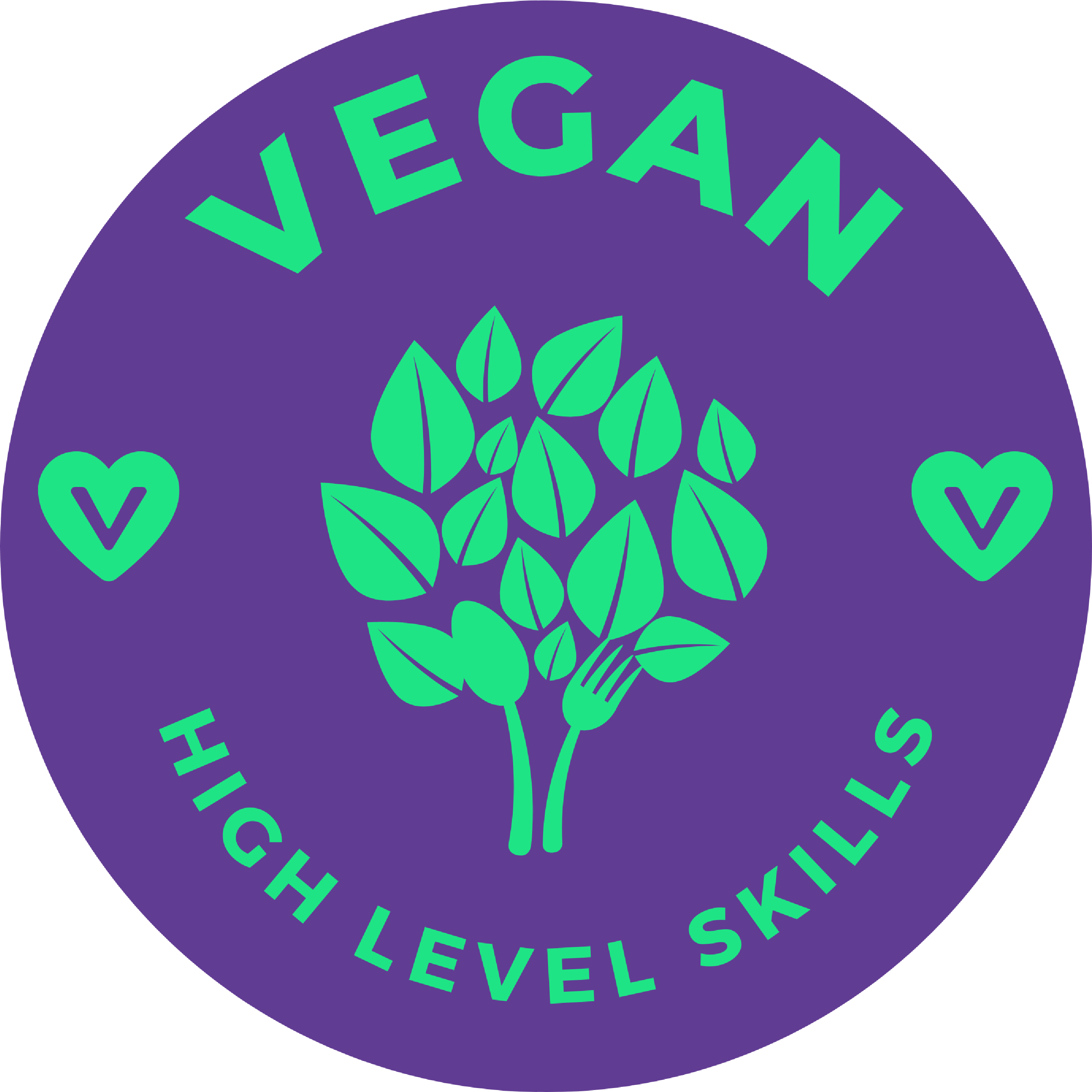 Vegan High Level Skills (Teacher CPD and exam resources)