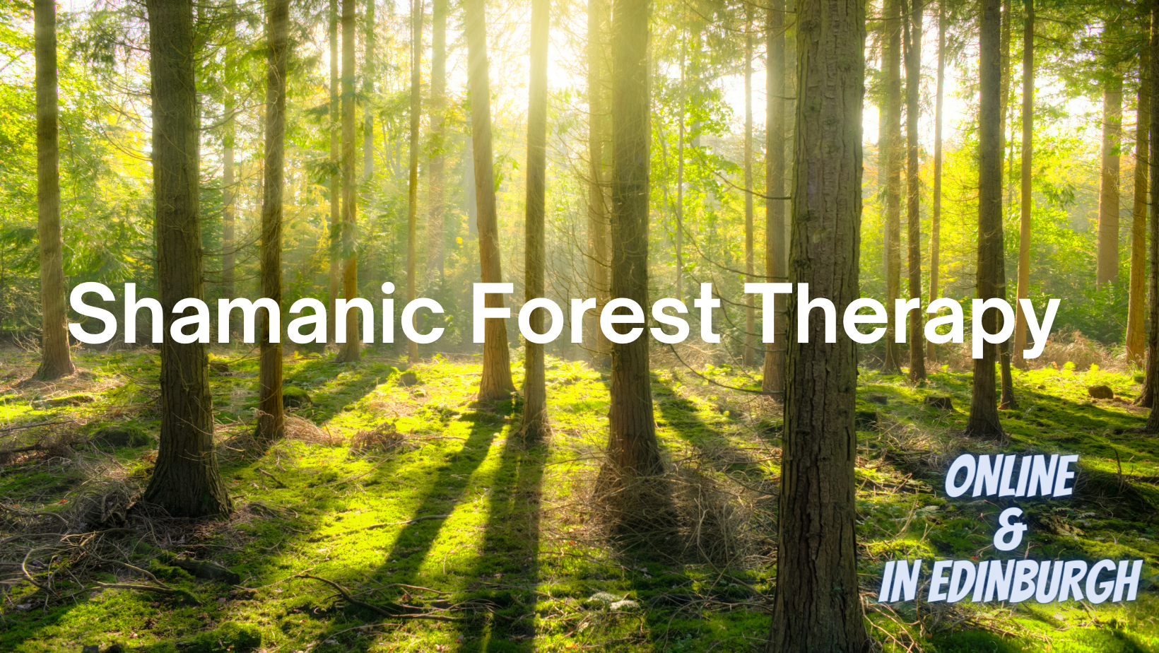 Shamanic Forest Therapy