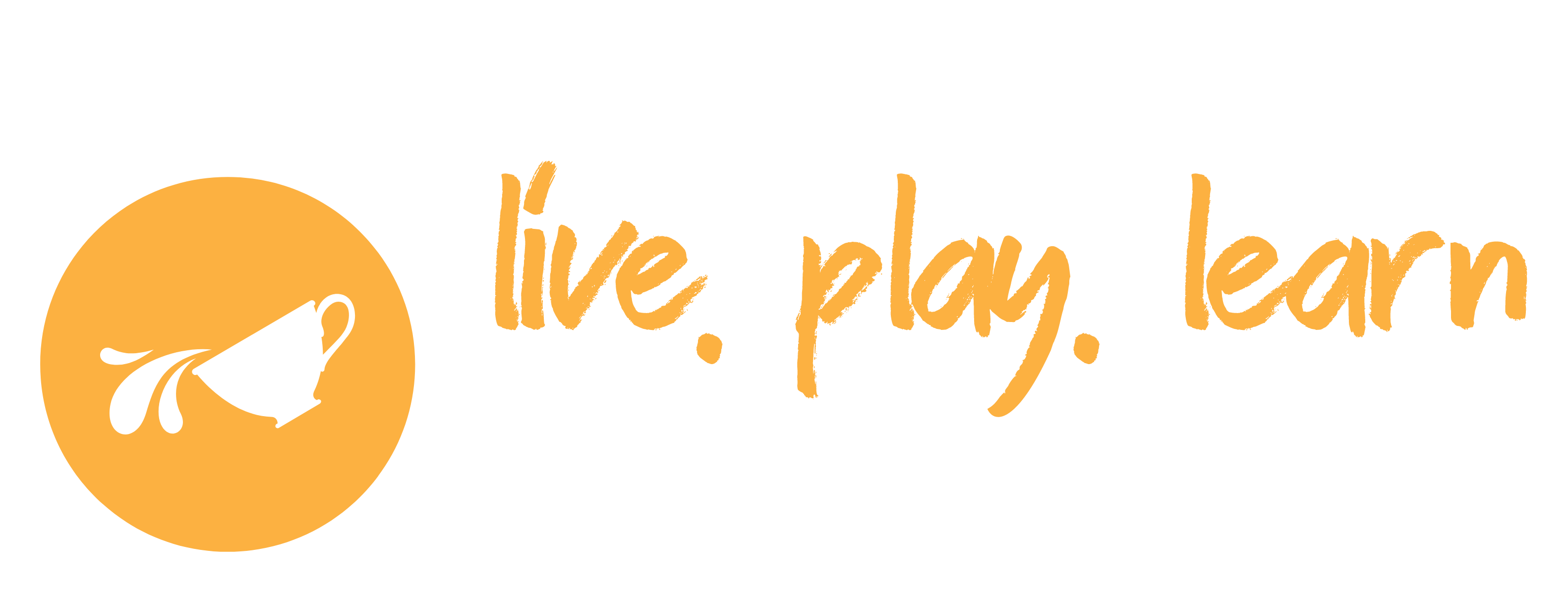 LivePlayLearn