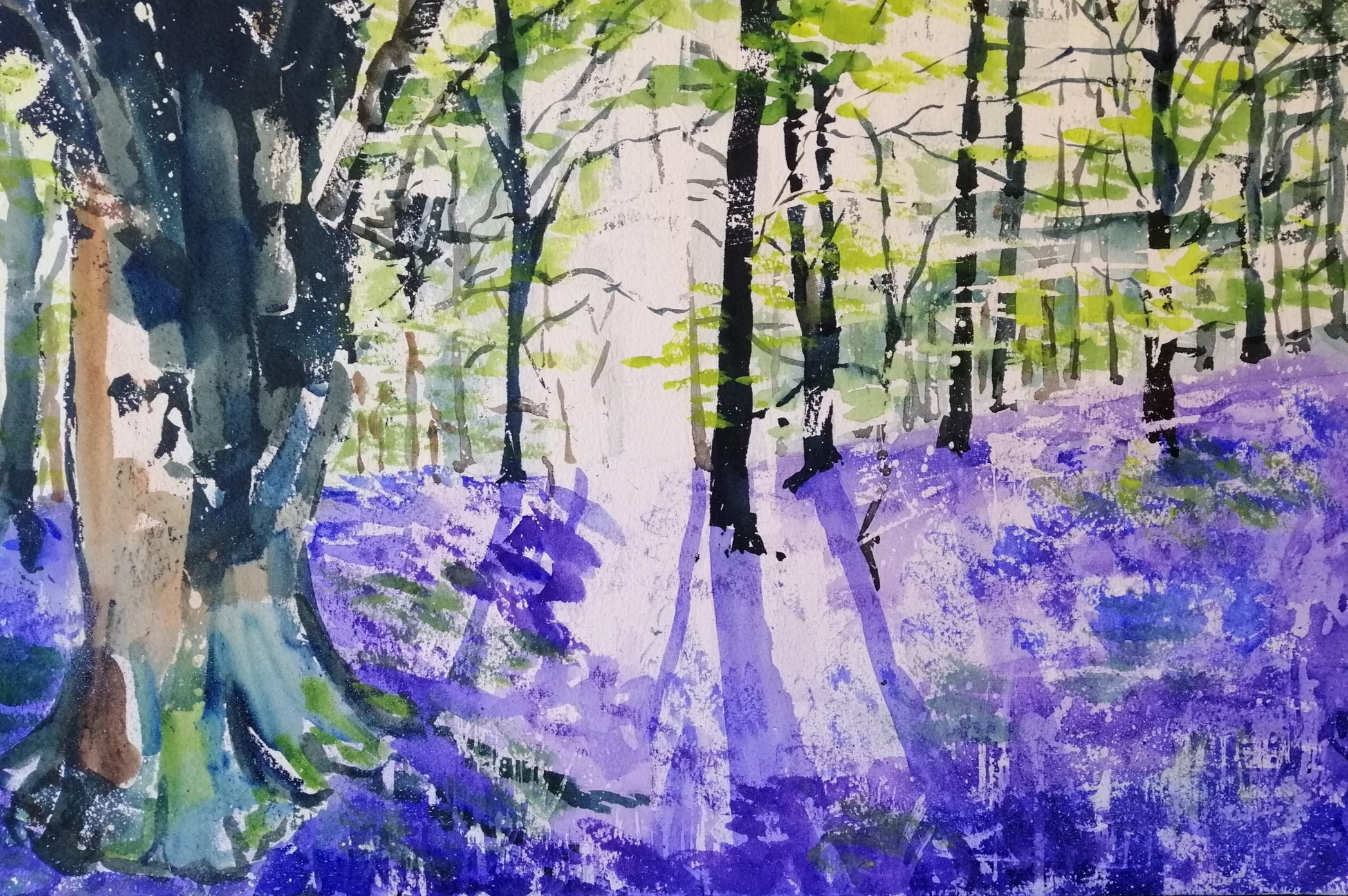 Bluebell woods in watercolour 1 hour