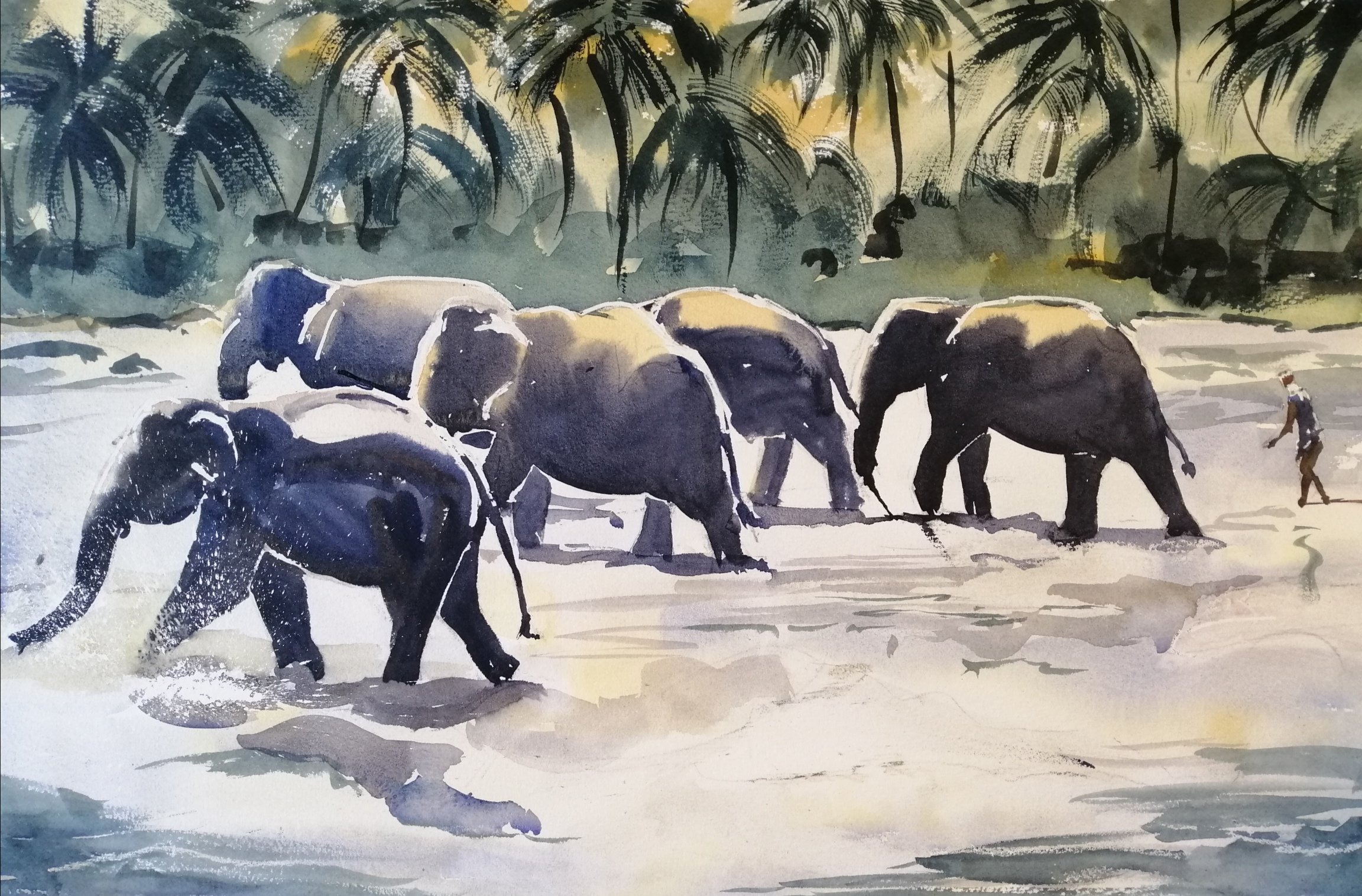 Elephants in Sri Lanka in watercolour 40mins