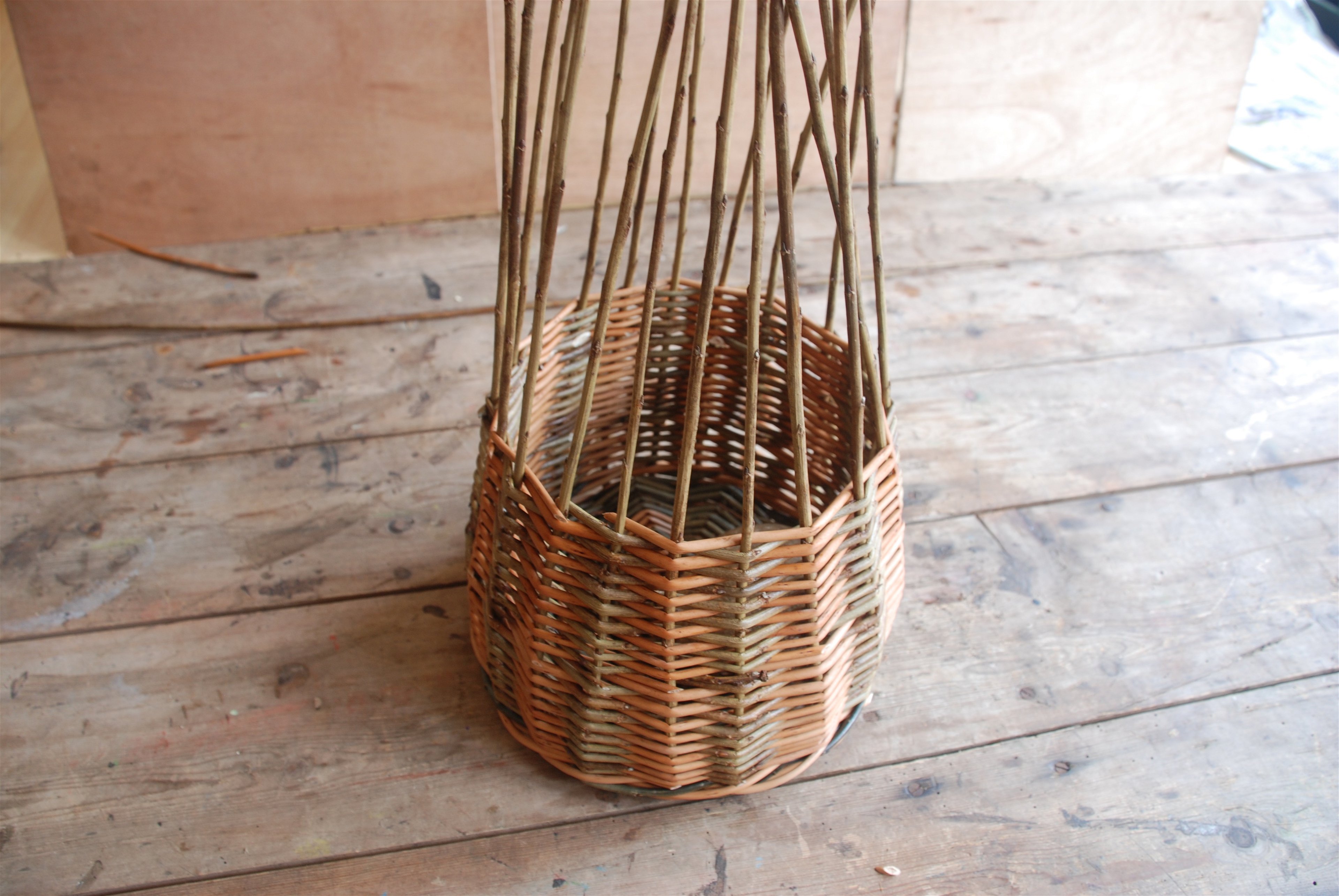 English Willow Basket Making for beginners. 