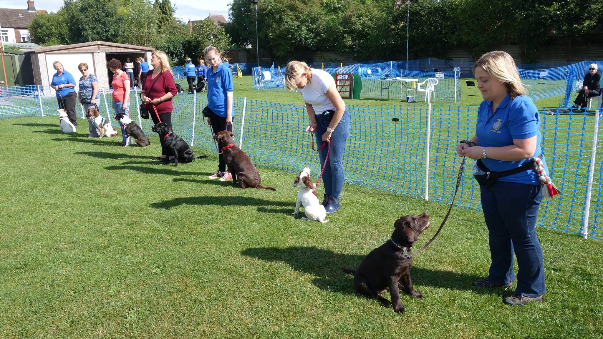 Nuneaton Dog Training Club