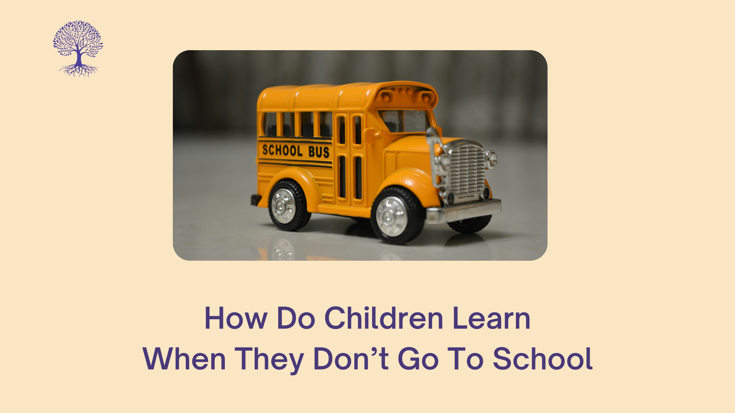 How Do Children Learn When They Don't Go To School