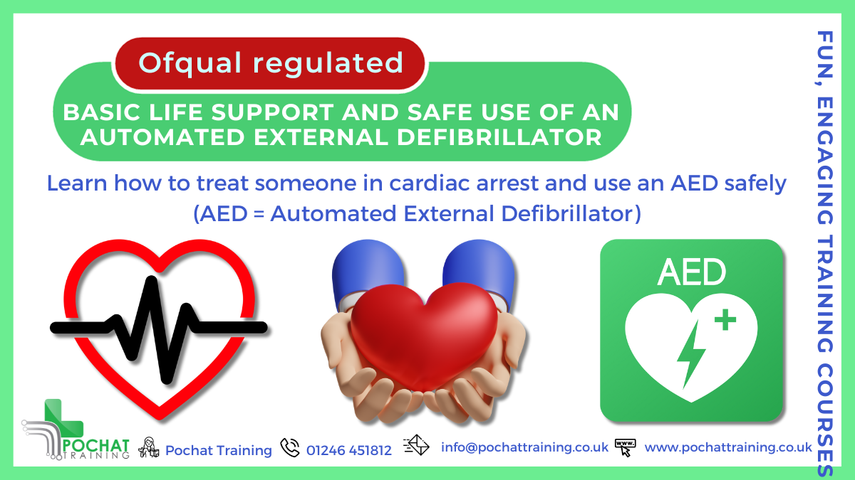 BLS & Safe Use of an AED (Private Course)