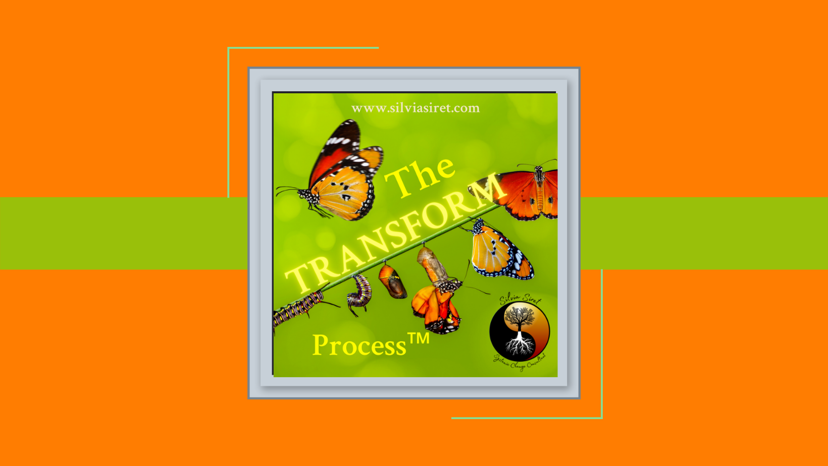 The TRANSFORM Process™