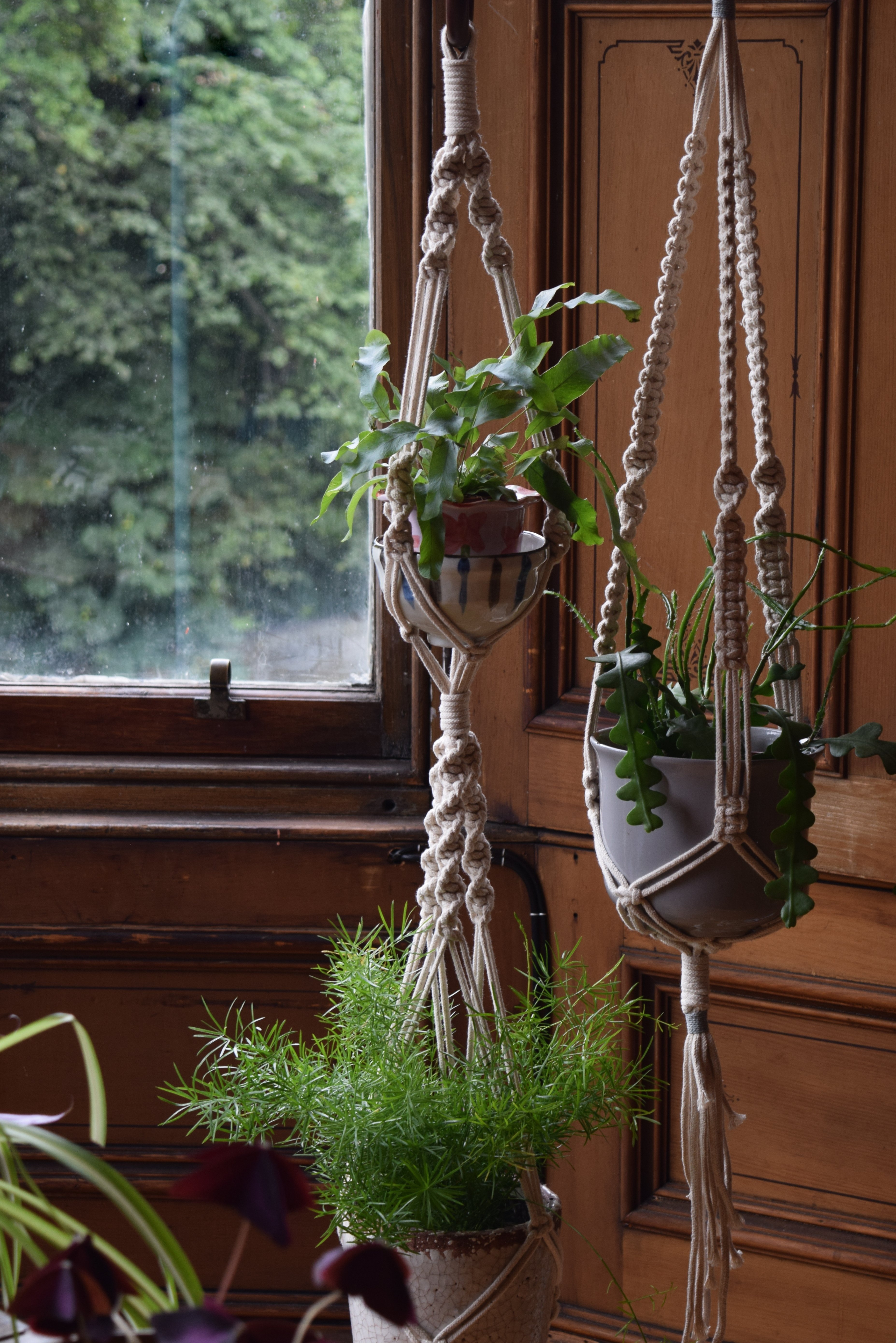 Make a macramé plant or pot hanger | private class for up to 10 people
