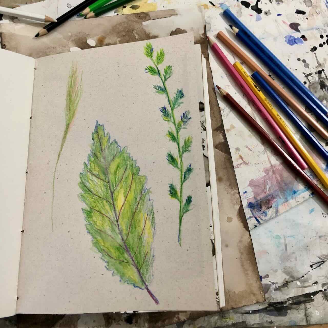 Introduction to nature journalling