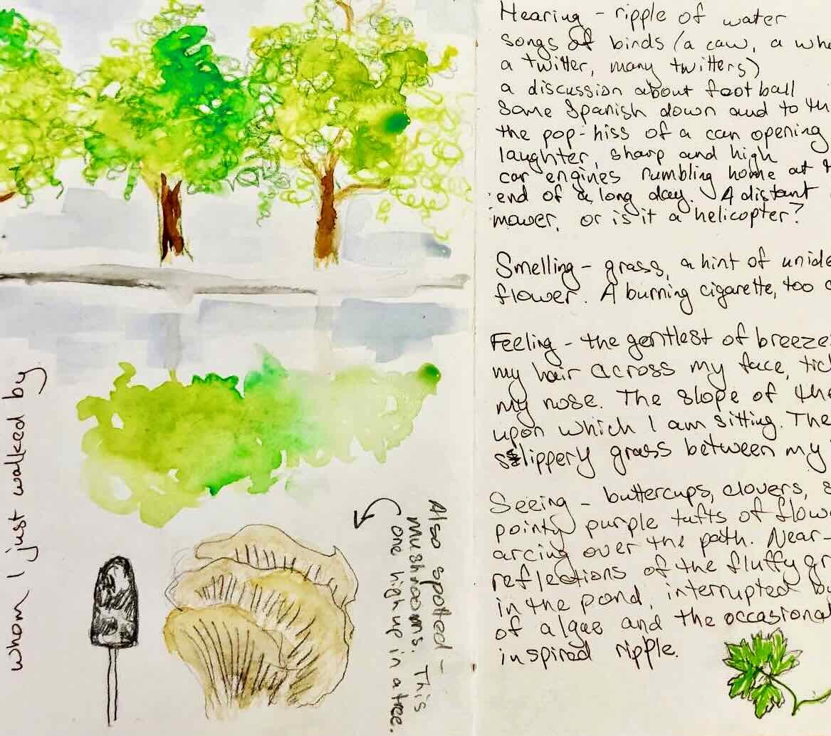 Introduction to nature journalling