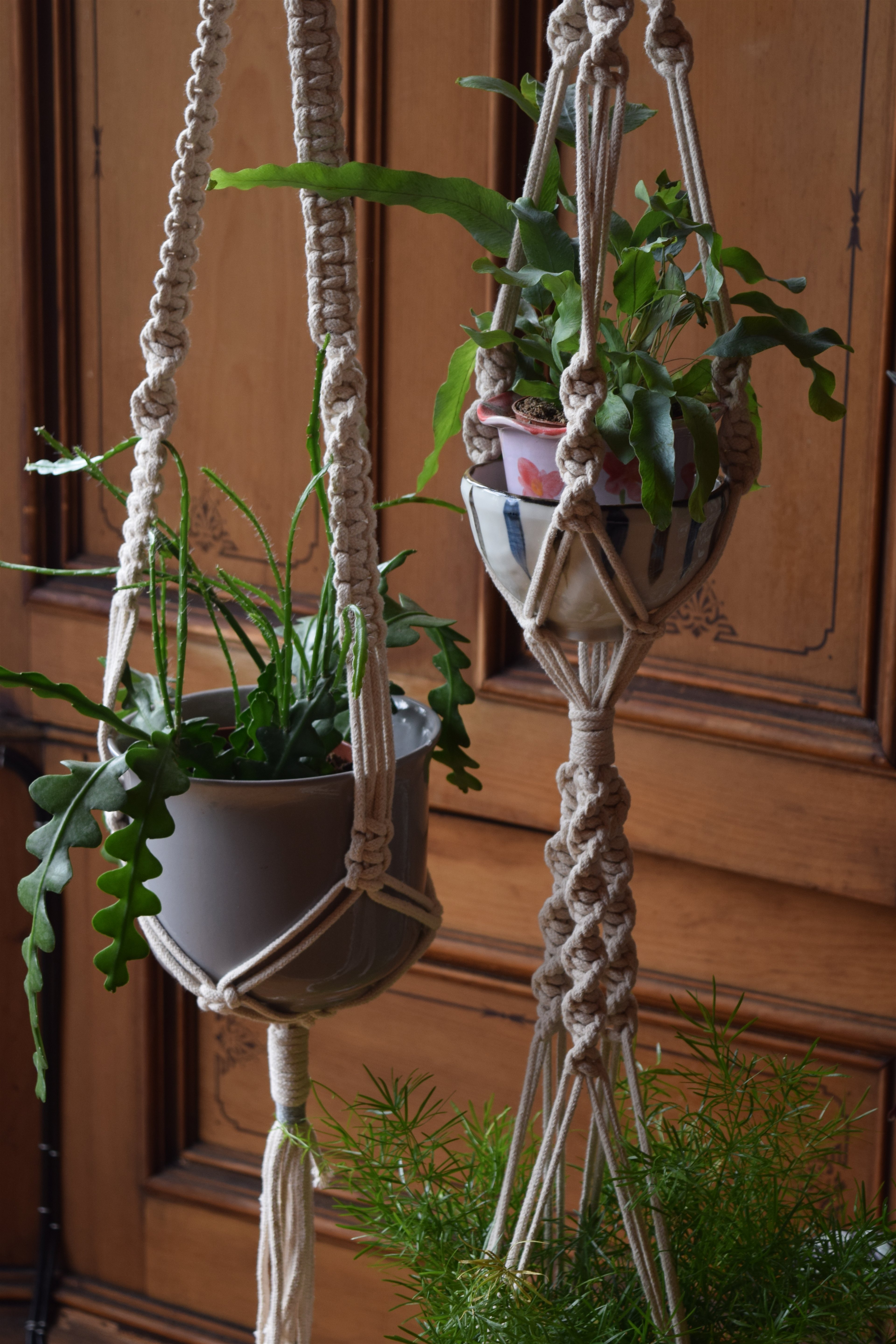 Make a macramé plant or pot hanger | private class for up to 10 people
