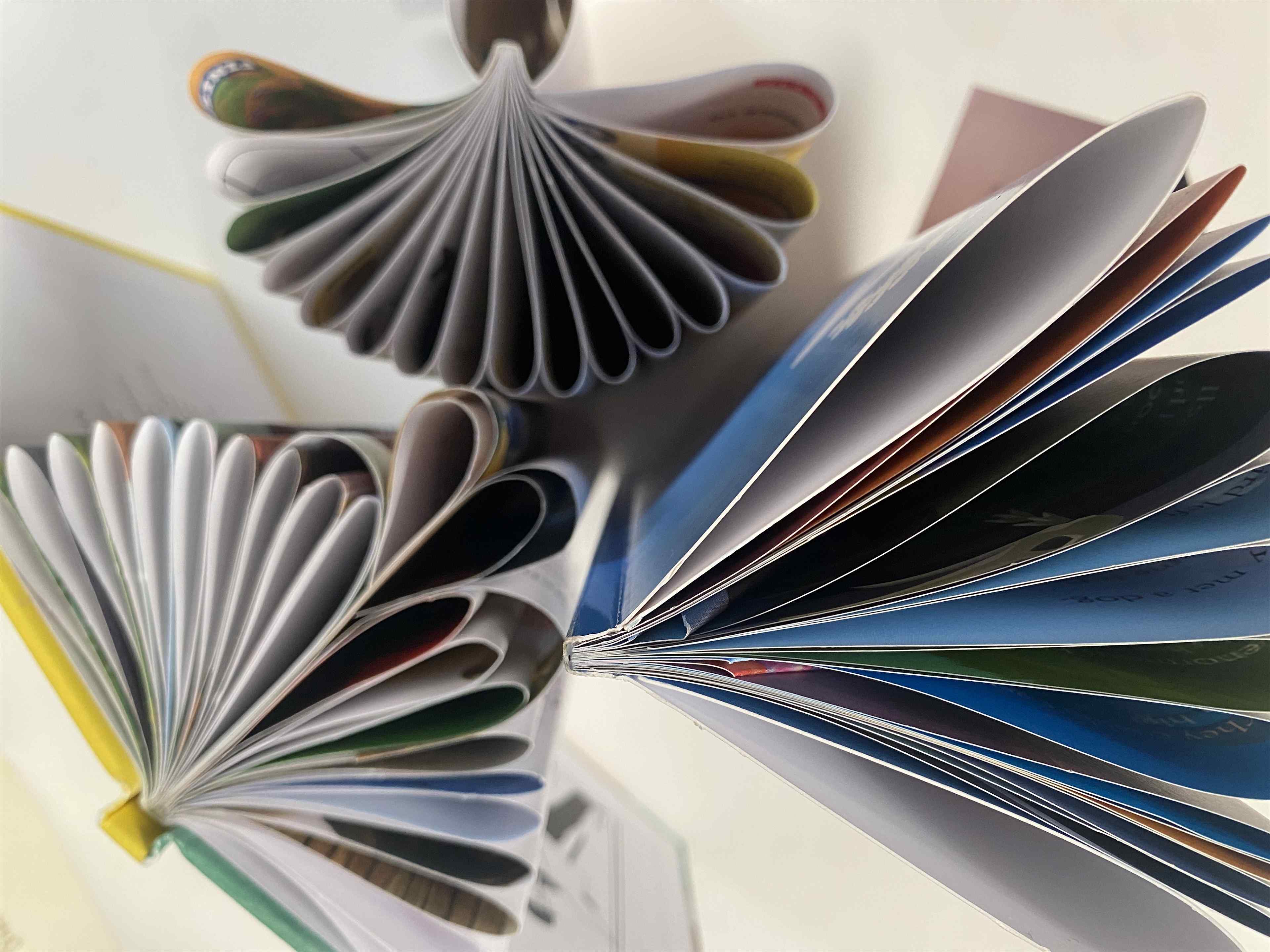 Book sculptures: how to give pre-loved books a new life