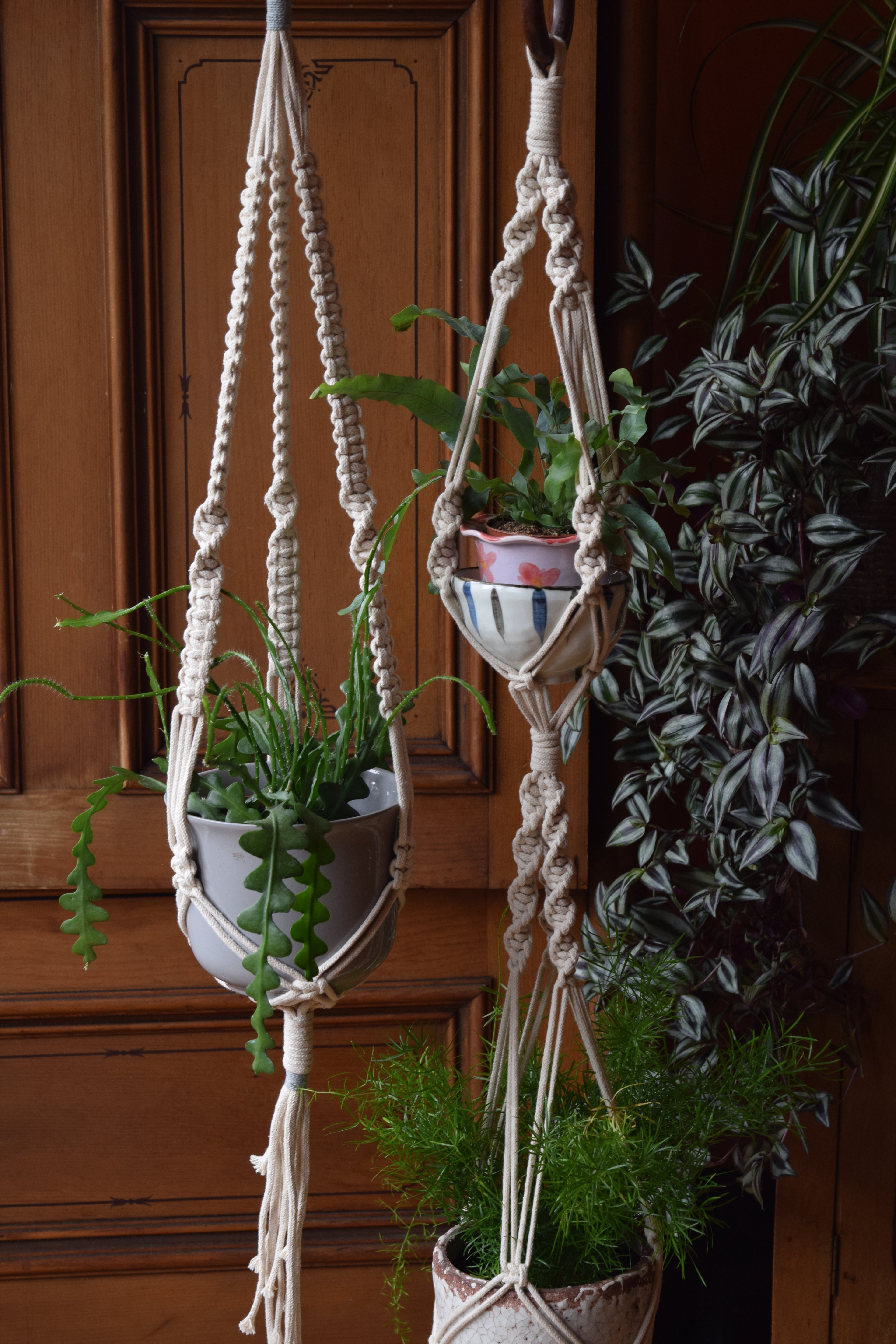 Make a macramé plant or pot hanger