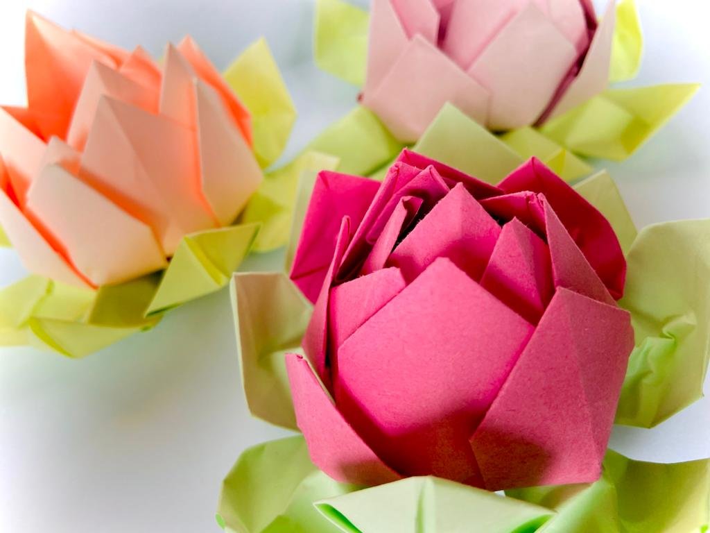 Origami Making For Adults (Online Live)