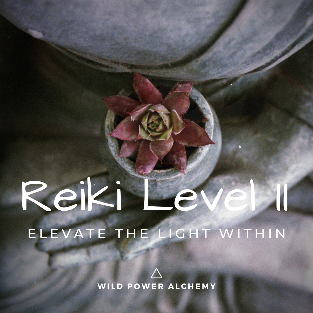 Reiki Level II - Elevate the Light Within