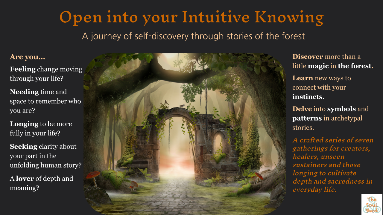 A journey into the forest to meet your Inner Wisdom