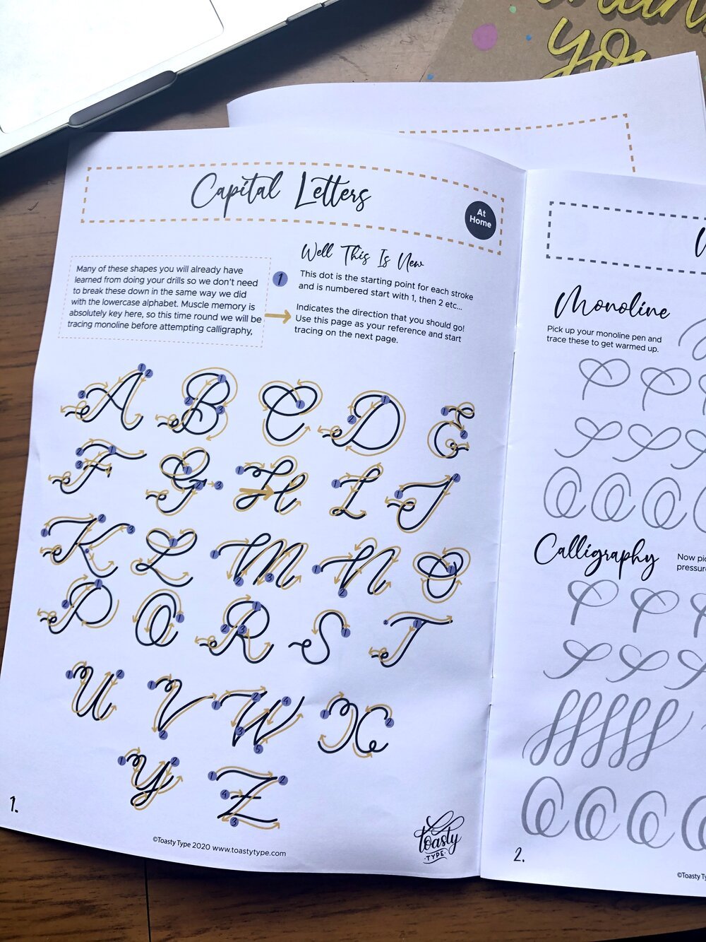 Intermediate Calligraphy - Lowercase And Capitals Workshop