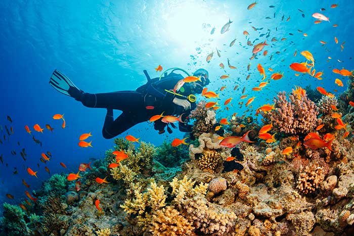 PADI Project Aware Coral Reef Conservation (ONLINE or In Person)