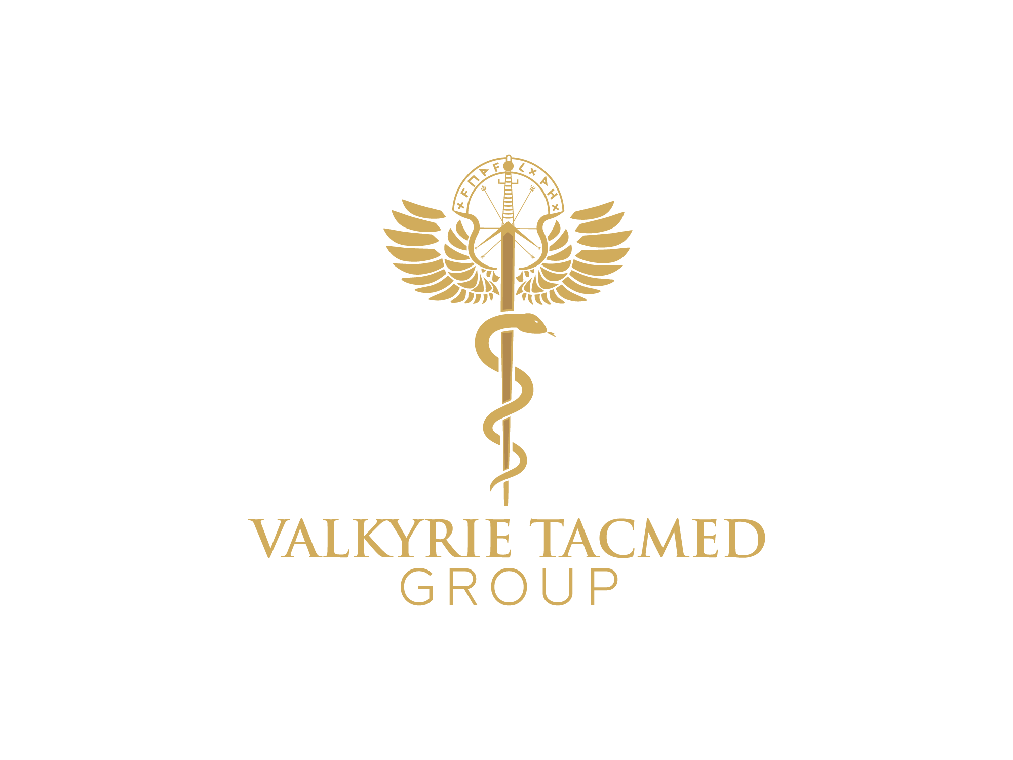 Valkyrie Tacmed Group LLC