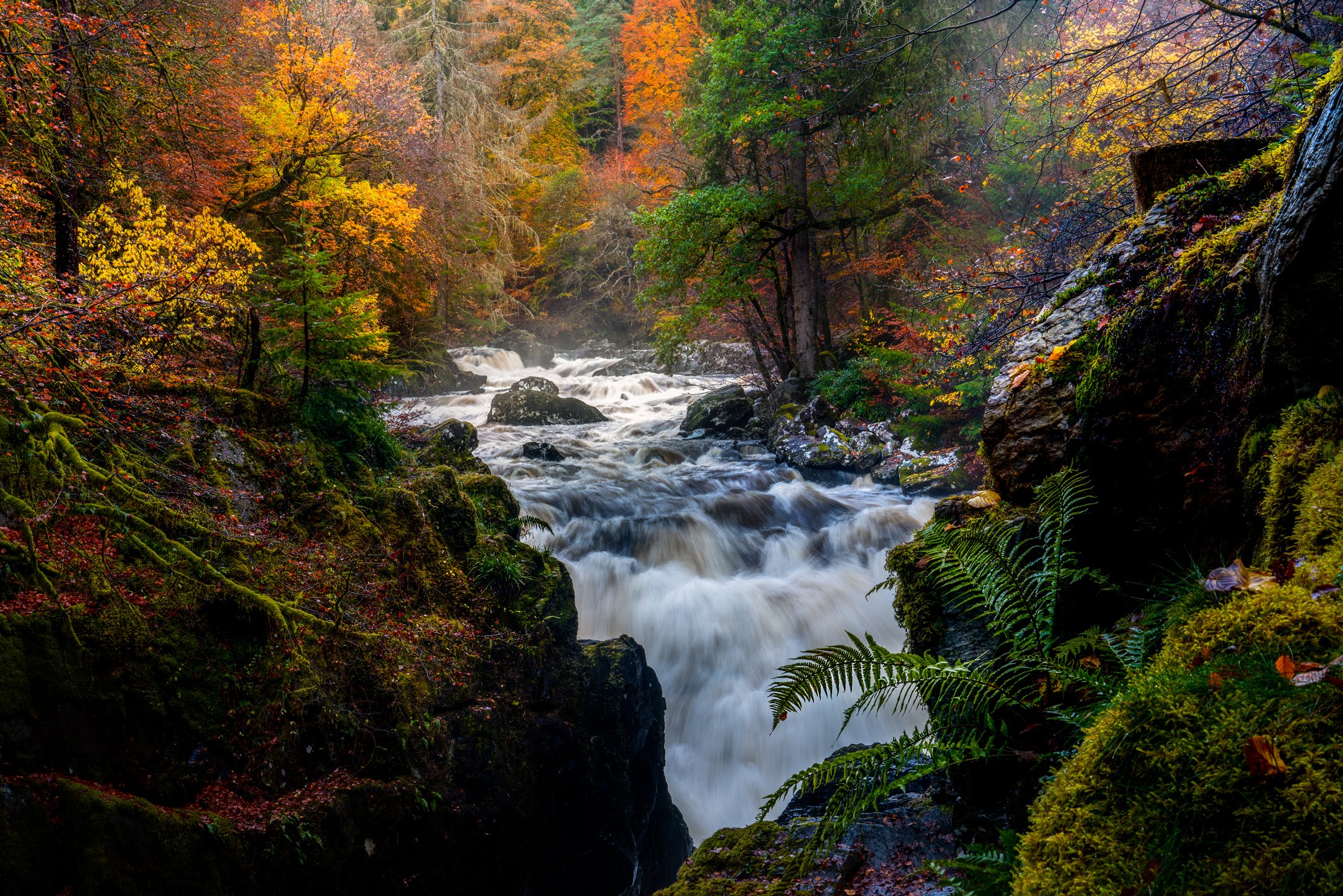 Perthshire & Stirlingshire Photography Workshop & Tour
