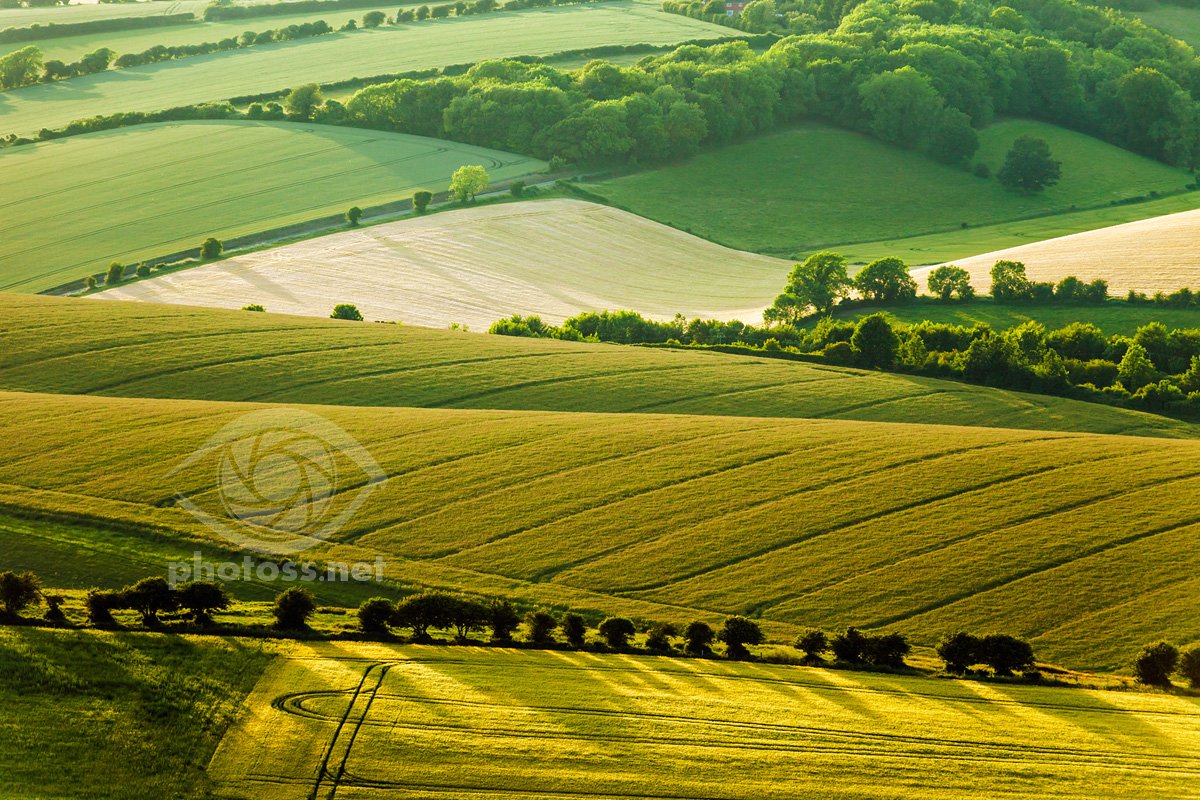 Landscape Photography Workshop on the South Downs near Brighton, East Sussex